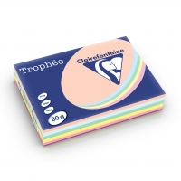 Papier Couleur - A4 (210 X 297 Mm) - 80 G/M² - 500 Feuilles - Coloris Pastels Assortis
