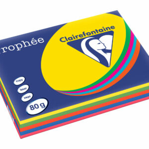 Papier Couleur - A4 (210 X 297 Mm) - 80 G/M² - 500 Feuilles - Coloris Assortis
