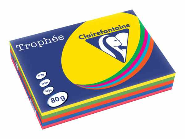 Papier Couleur - A4 (210 X 297 Mm) - 80 G/M² - 500 Feuilles - Coloris Assortis