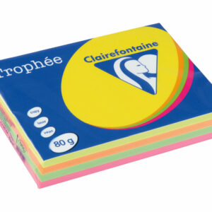 Papier Couleur - A4 (210 X 297 Mm) - 80 G/M² - 500 Feuilles - Coloris Fluos Assortis
